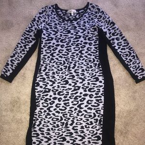 Derek Black & Grey Knee Length Print Sweater Dress